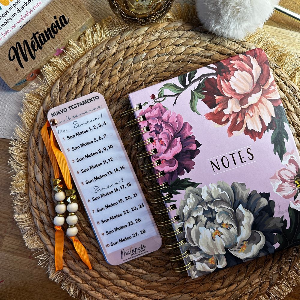 Plan de Lectura Nuevo Testamento - Imagen 2