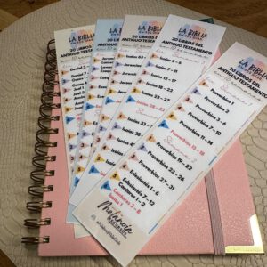 Plan de lectura 20 Libros del AT en 10 Semanas